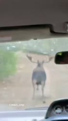 1755479942864.webm