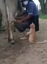 1755511381113.webm