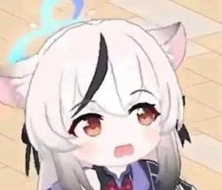1755520677914.jpg
