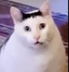 1755521899928.jpg
