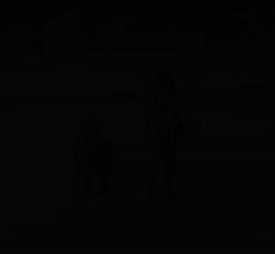 1755524055400.webm