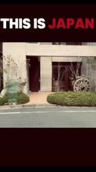 1755535891613.webm