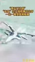 1755547351598.webm