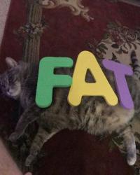 1755659818743.jpg