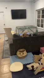 1755680199001.webm