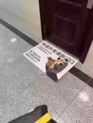 1755735154499.webm