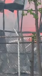 1755781948695.webm