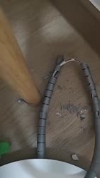 1755794323304.webm
