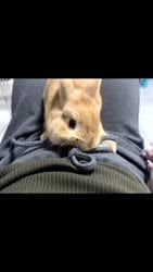 1755828956716.webm
