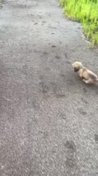 1755829142984.webm