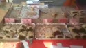 1755855885535.webm