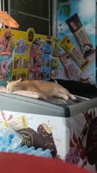1755869294098.webm