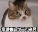 1755869353247.png