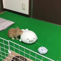1755952402354.webm