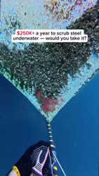 1755955744538.webm