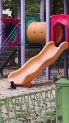 1755956627067.webm