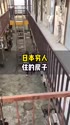 4523 KB
