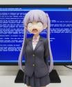 1847 KB