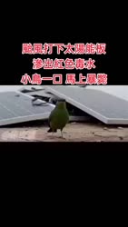 315 KB