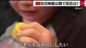 975 KB