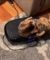 2968 KB