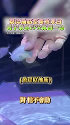 3945 KB