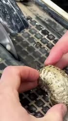 3038 KB