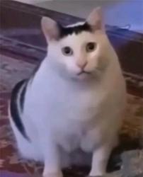1758280520879.jpg