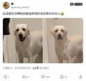 1758427315847.jpg