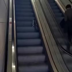 1758436880972.webm