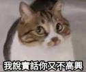 1758439203214.png