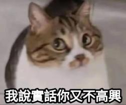 333 KB
