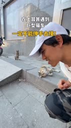 1758440512439.webm