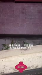 1758515567154.webm
