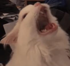 1758517663298.png