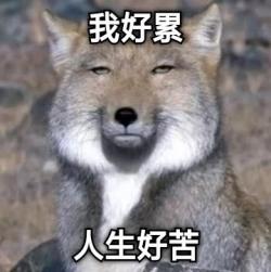 1758555130506.jpg