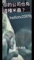 1169 KB
