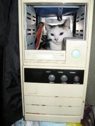 34 KB