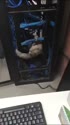 2118 KB