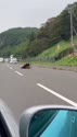 1758721945807.webm