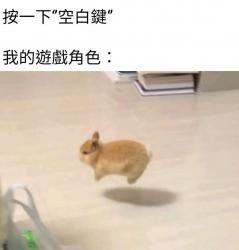 1758805921179.jpg