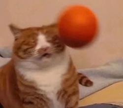 1758816662196.jpg