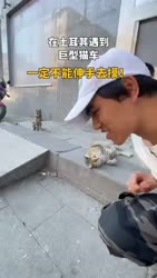 1758874700275.webm