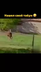 1758938257346.webm