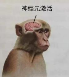 1758958026996.jpg