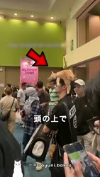 1759028484649.webm