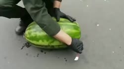 1759089177480.webm