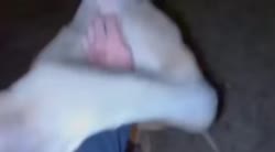 1759090041661.webm