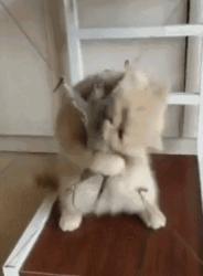 1759128108974.gif