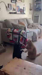 1759163167223.webm